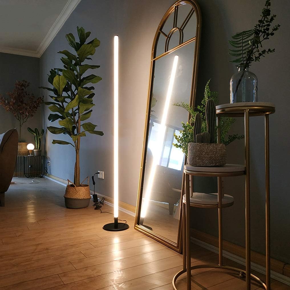 Living room with a tall floor lamp, full-length mirror, and plants.