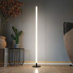 Modern floor lamp in a room with a cactus and decorative plant