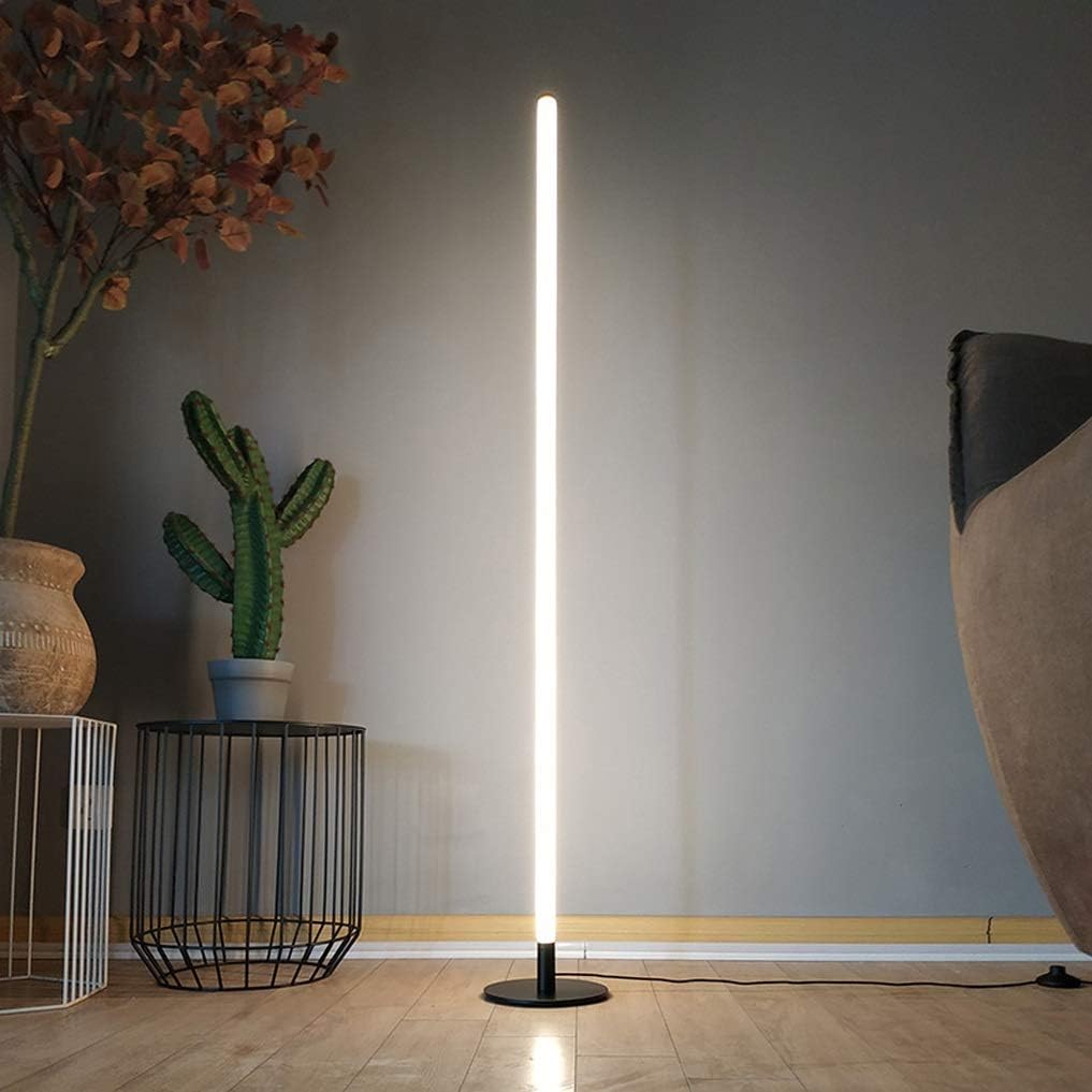 Modern floor lamp in a room with a cactus and decorative plant